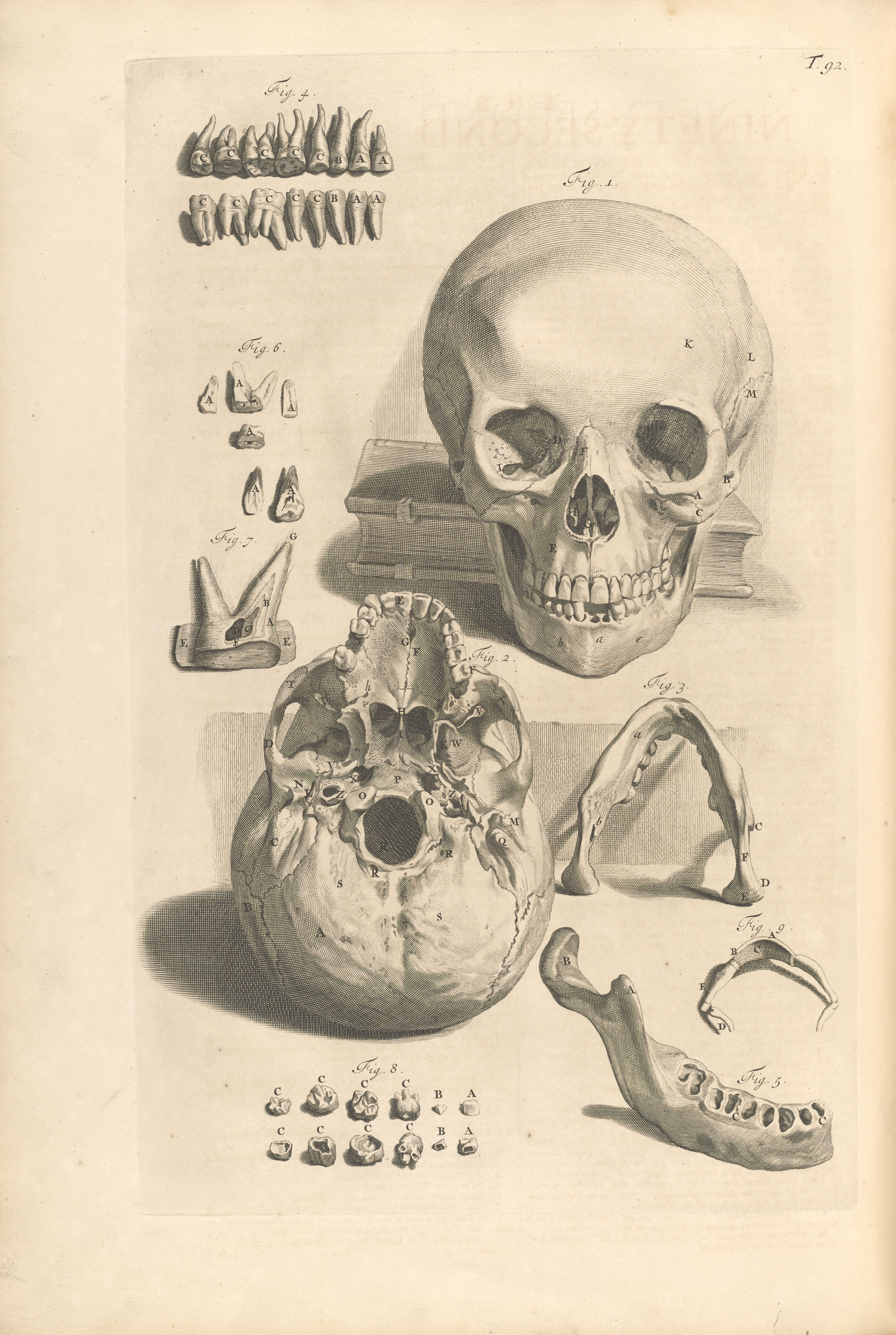 The anatomy of humane bodies with figures drawn after the life by some of the best masters in Europe and curiously engraven in one hundred and fourteen copper plates