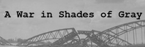 A War in Shades of Gray
