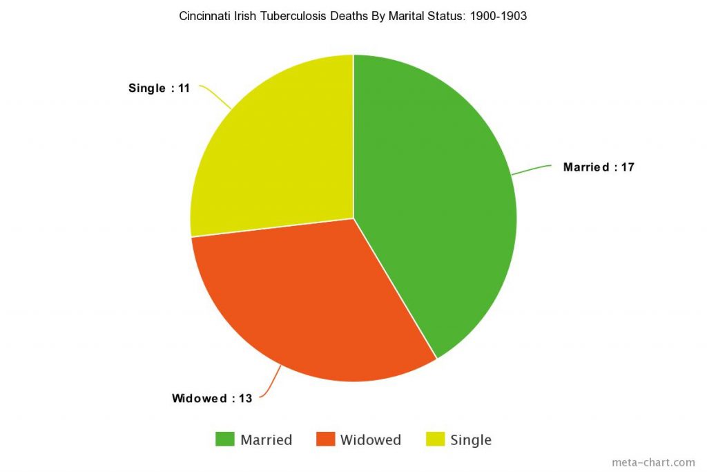 Tuberculosis Deaths by Marital Status