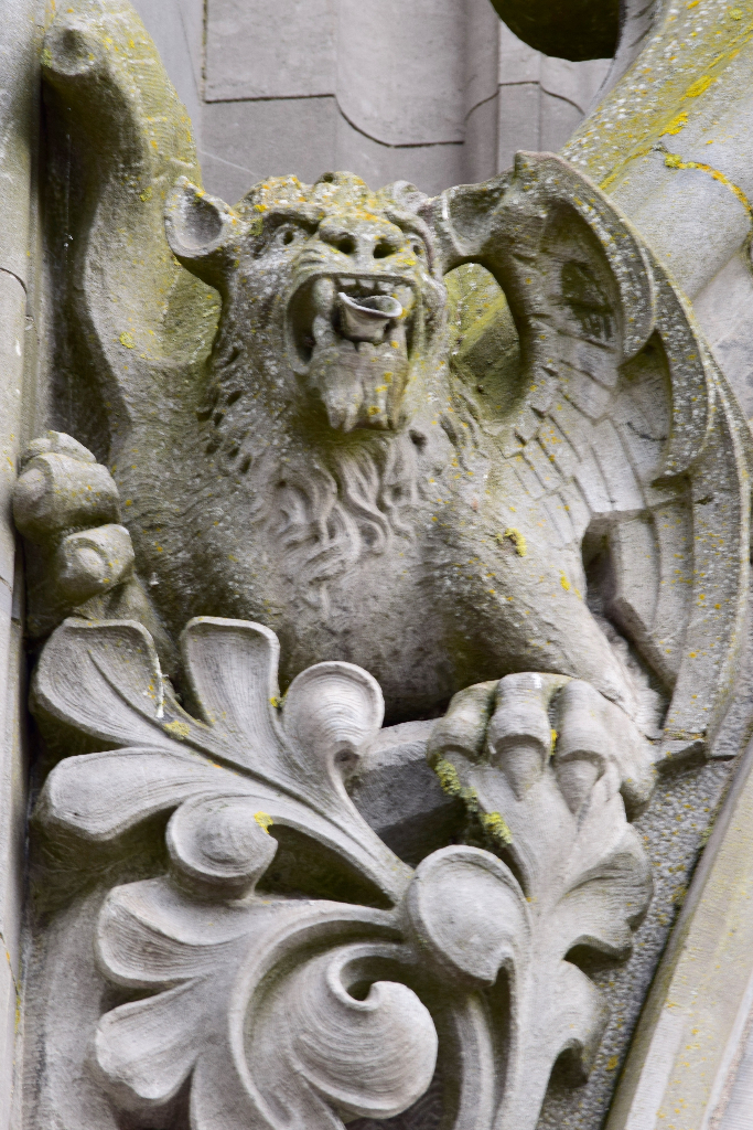 Gargoyle on St. Colman’s Cathedral, Cobh