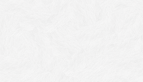 subtle_white_feathers Galleries