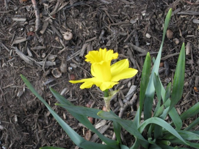 Post Fire Photographs