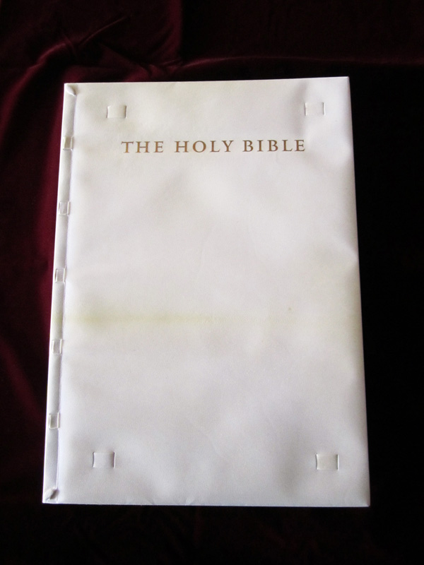 Cover of the Moser Bible