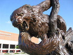 Bearcat Statue