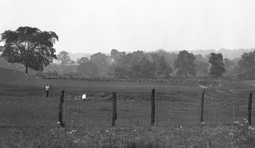 Surveyor by fence in field