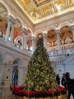 Christmas tree in the Library of Congress