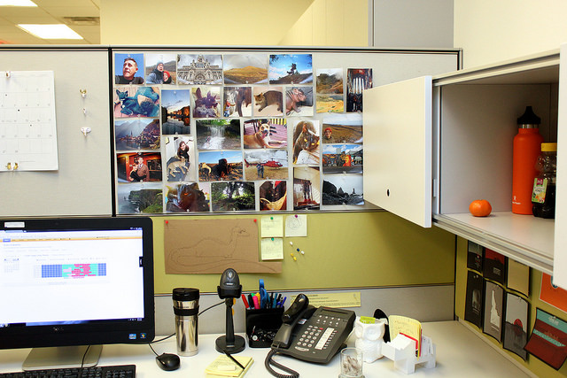 Photos on desk bulletin board.
