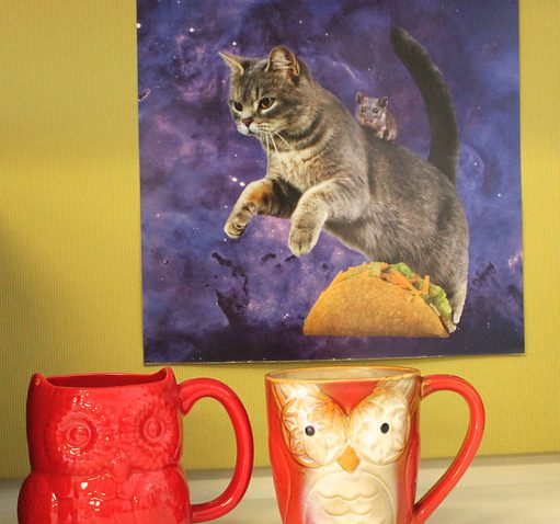 Owl mugs and cat poster.