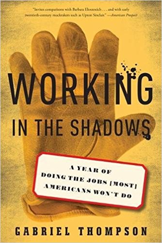 Working in the Shadows book cover