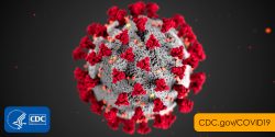 Coronavirus Diseasea 2019 (COVID-19) image from the CDC
