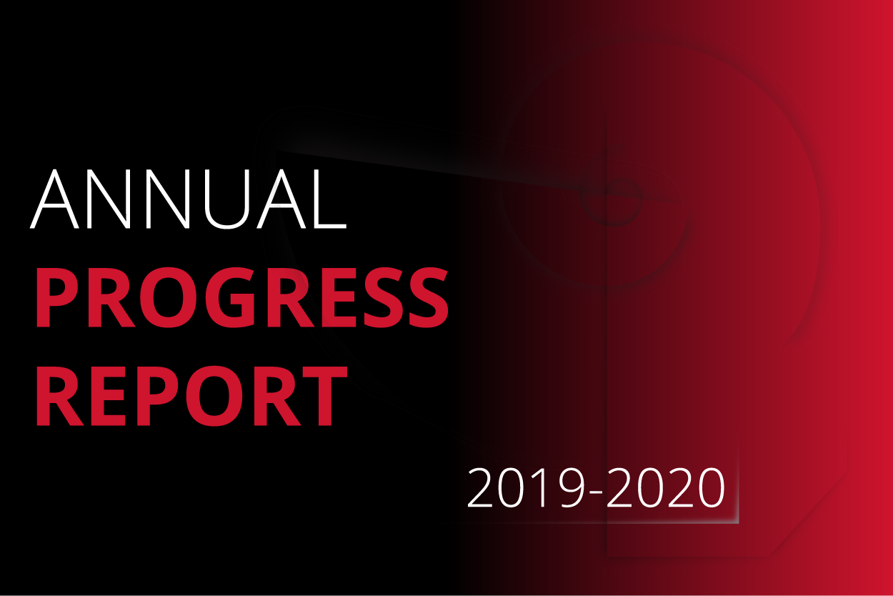 annual progress report graphic
