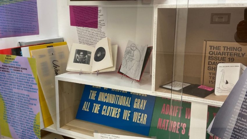 Exhibit of artists' books on shelves
