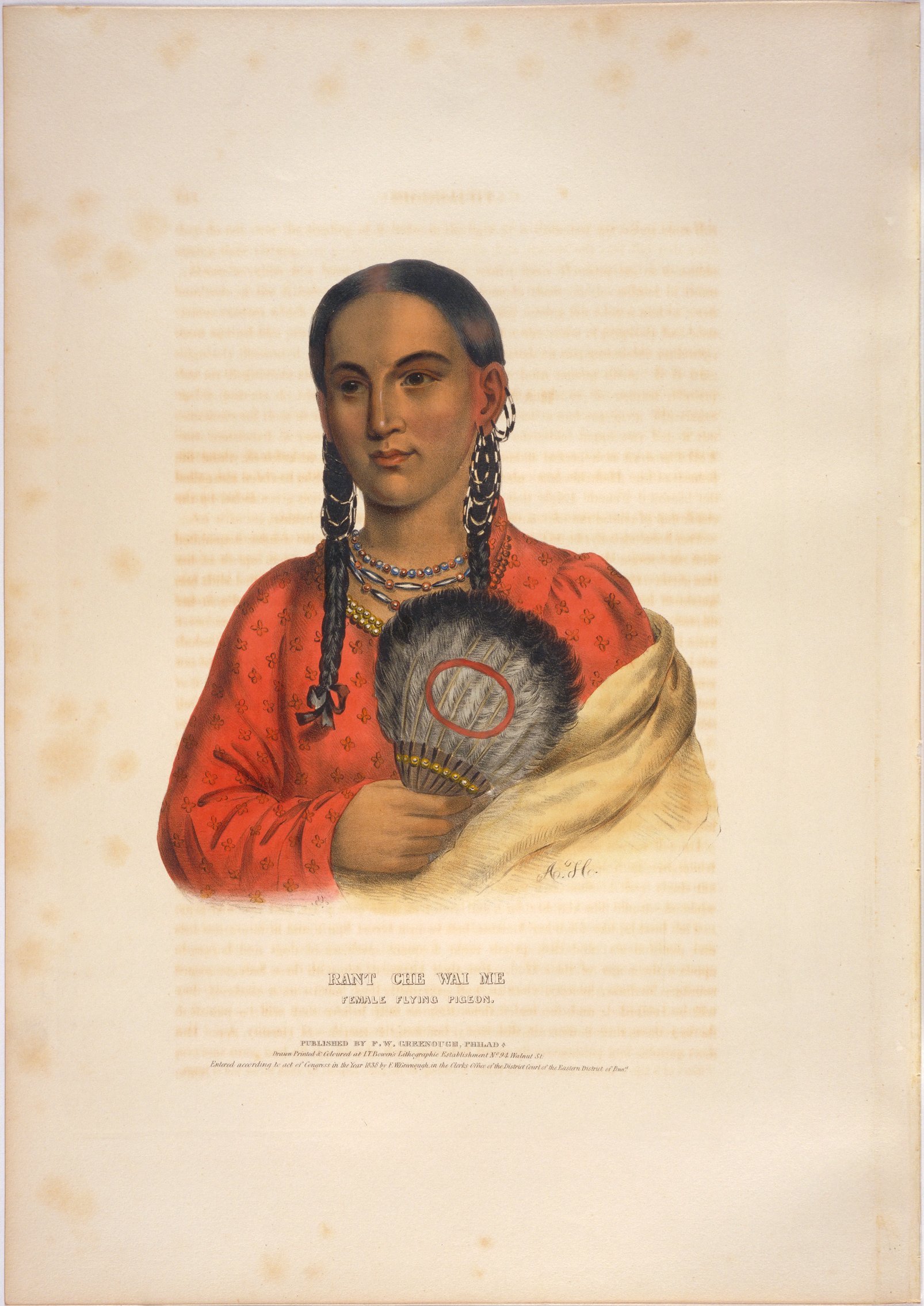 illustration of native american woman