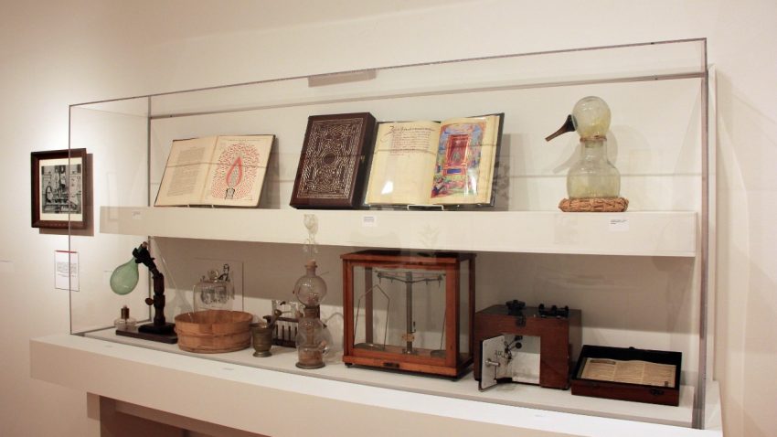 an image of the display case