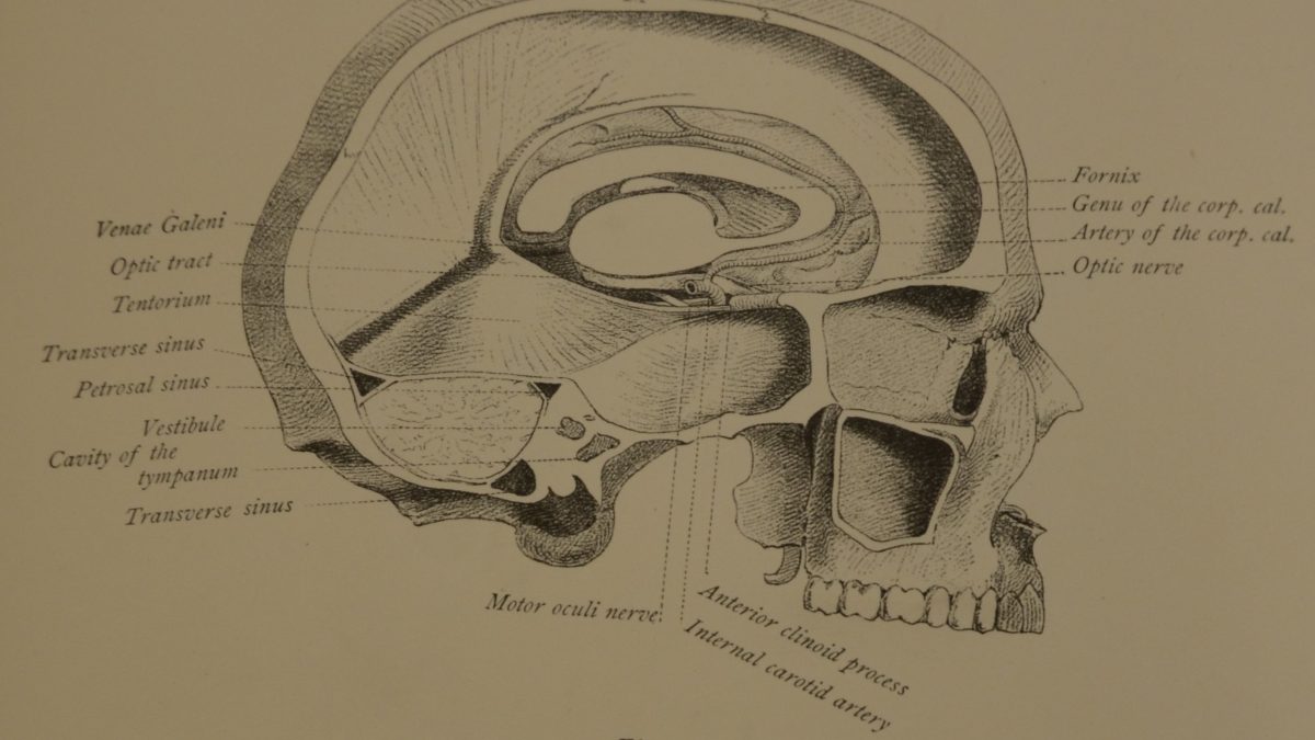 Neurological medical illustration