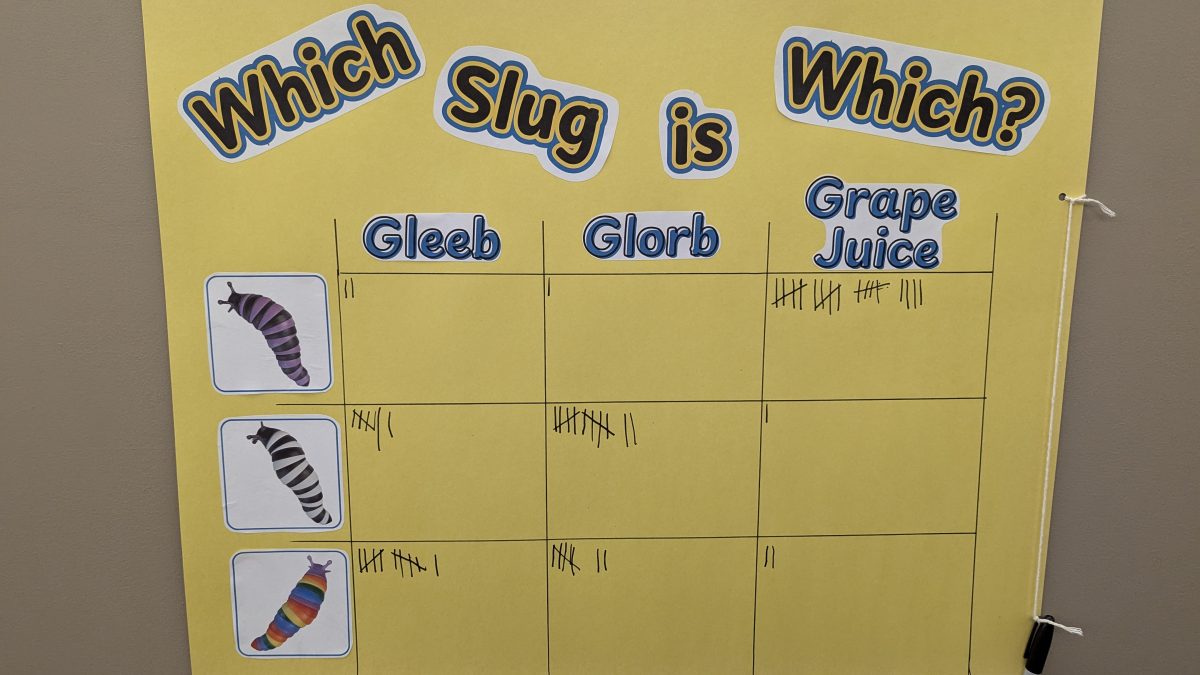 Yellow poster titled "Which Slug is Which?" with tally marks in black ink. Participants voted on which name (Gleeb, Glorb, or Grape Juice) should be assigned to which slug.