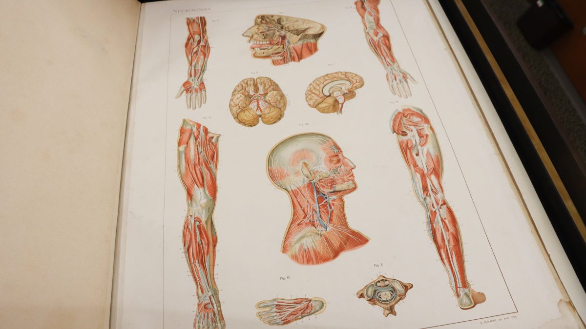 The Ansomi Normals Du Corps Human Atlas Inconographique by Sigismond Laskowski (1841-1928).