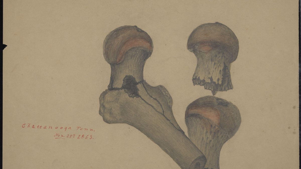 daniel young medical illustration
