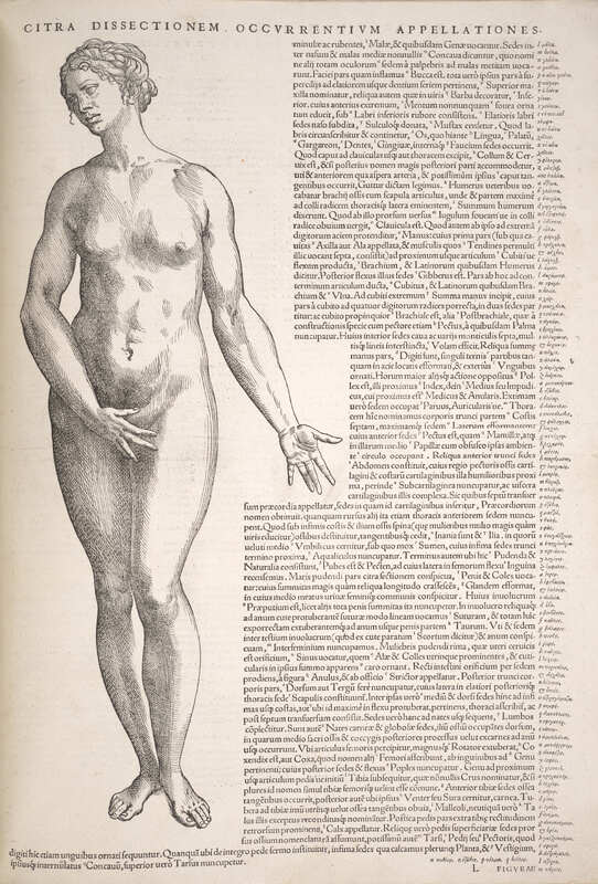 Eve from Vesalius' Epitome