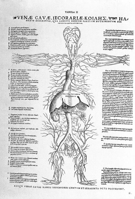  Anatomical Tables