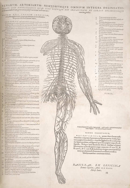 Page from Vesalius' Epitome