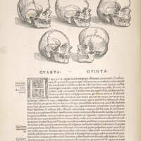 Page with Sculls from Christie's De Humani Corporis Fabrica
