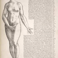 Eve from Vesalius' Epitome