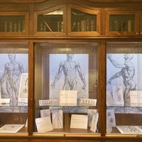 Vesalius Exhibits: The Fabrica
