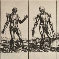 Vesalius Exhibits: The Muscle Men (front)