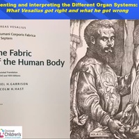Lecture 5: Presenting and Interpreting the Different Organ Systems 