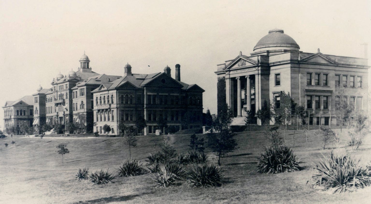 mcmicken hall and vanwormer library