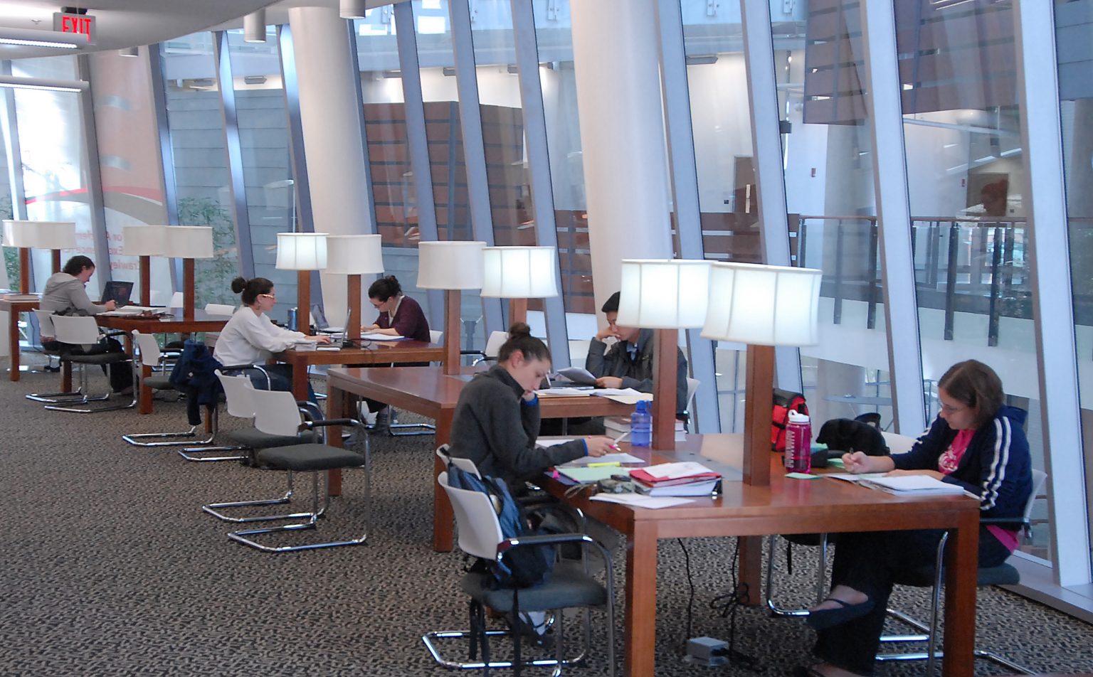 students studying in the library