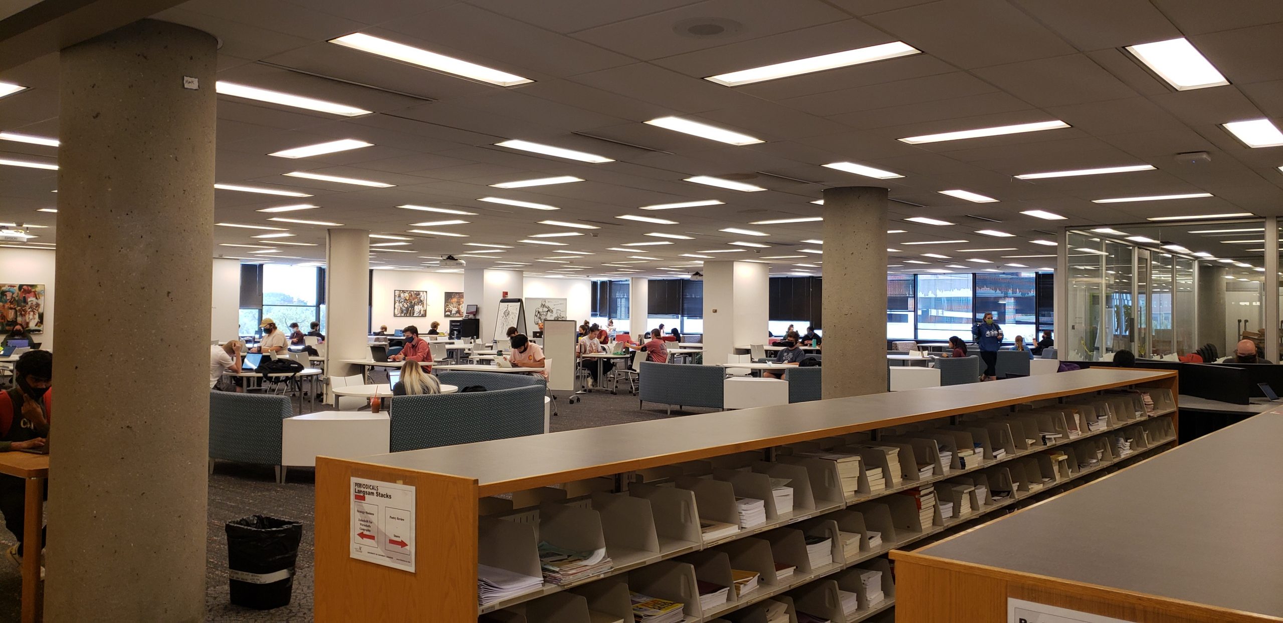 students working in the library