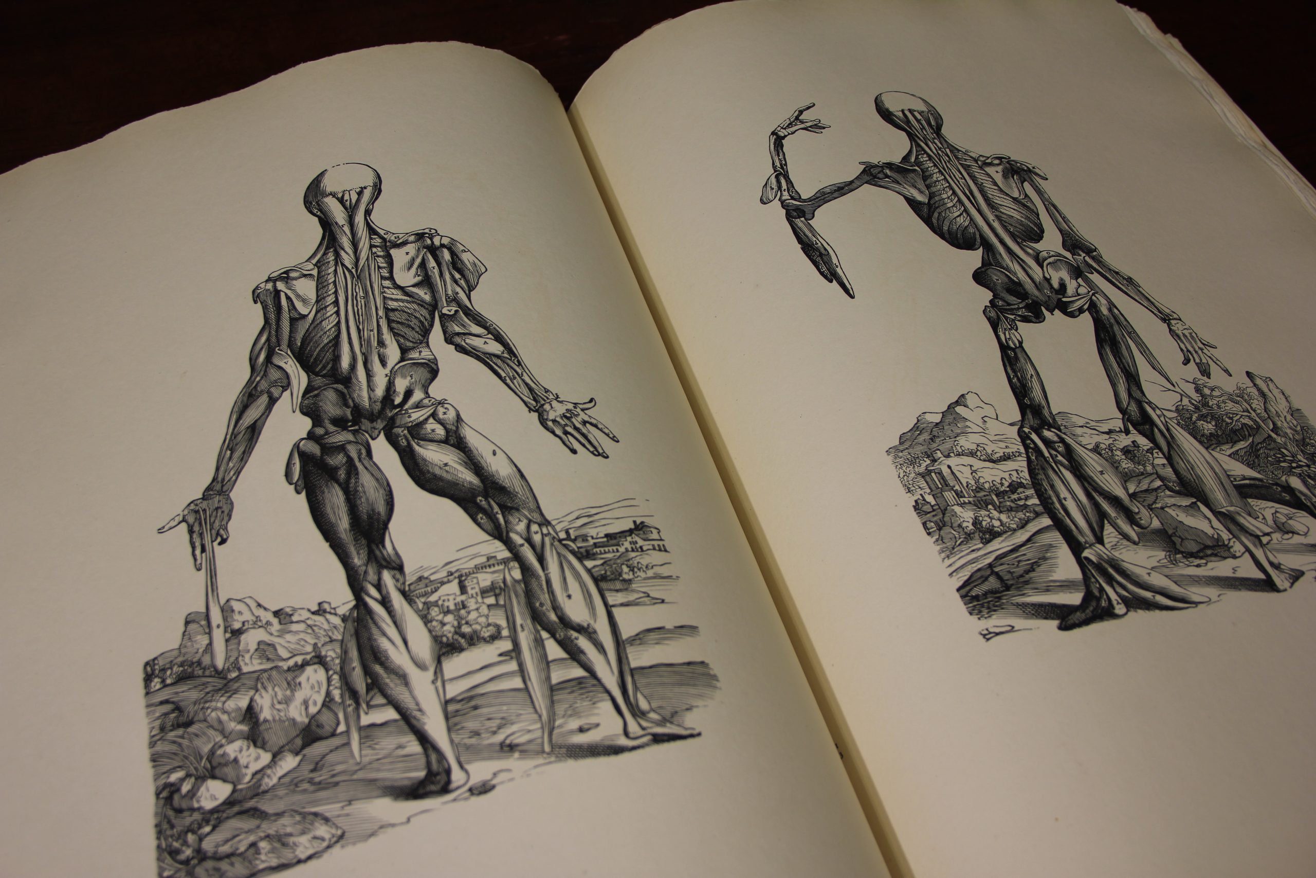 vesalius book