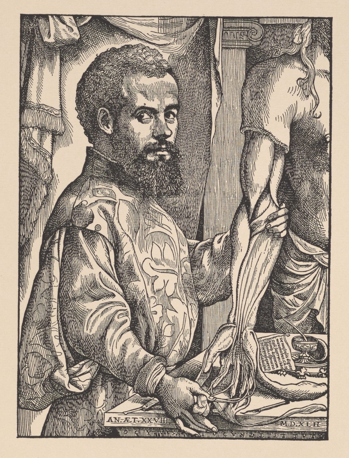 andreas vesalius