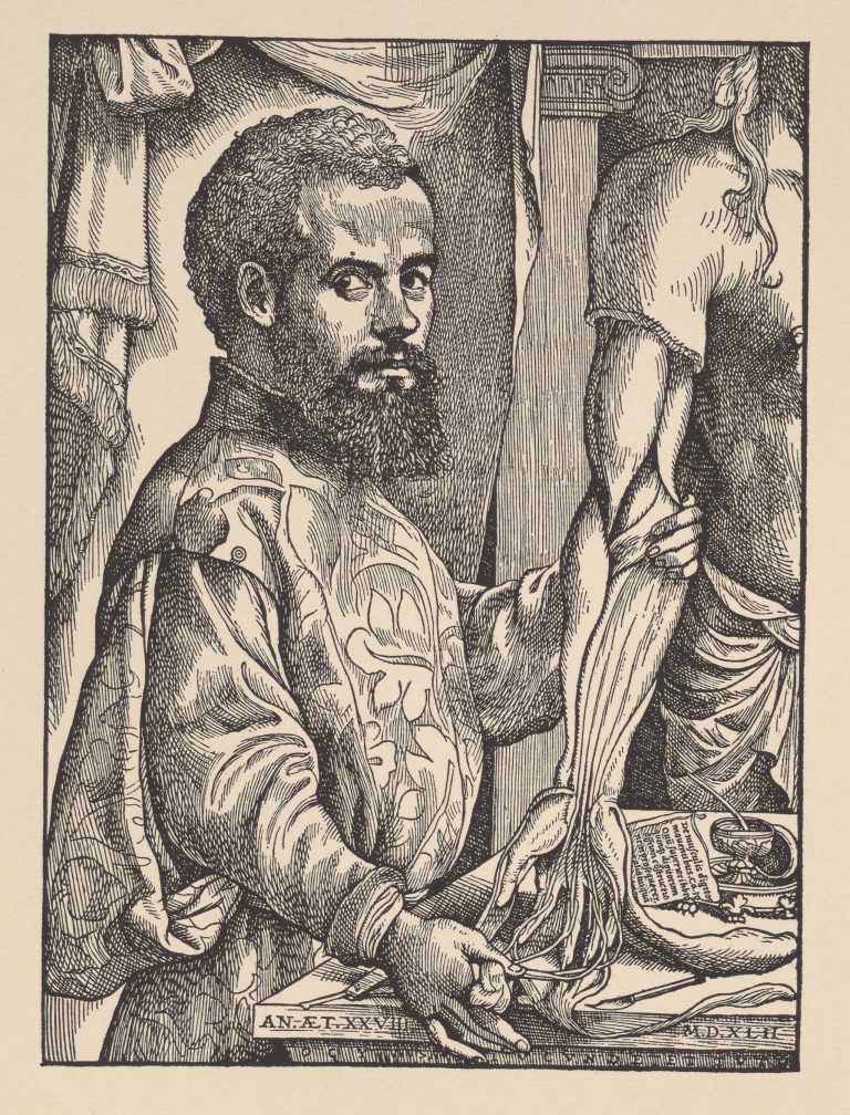 The Illustrated Human: The Impact of Andreas Vesalius