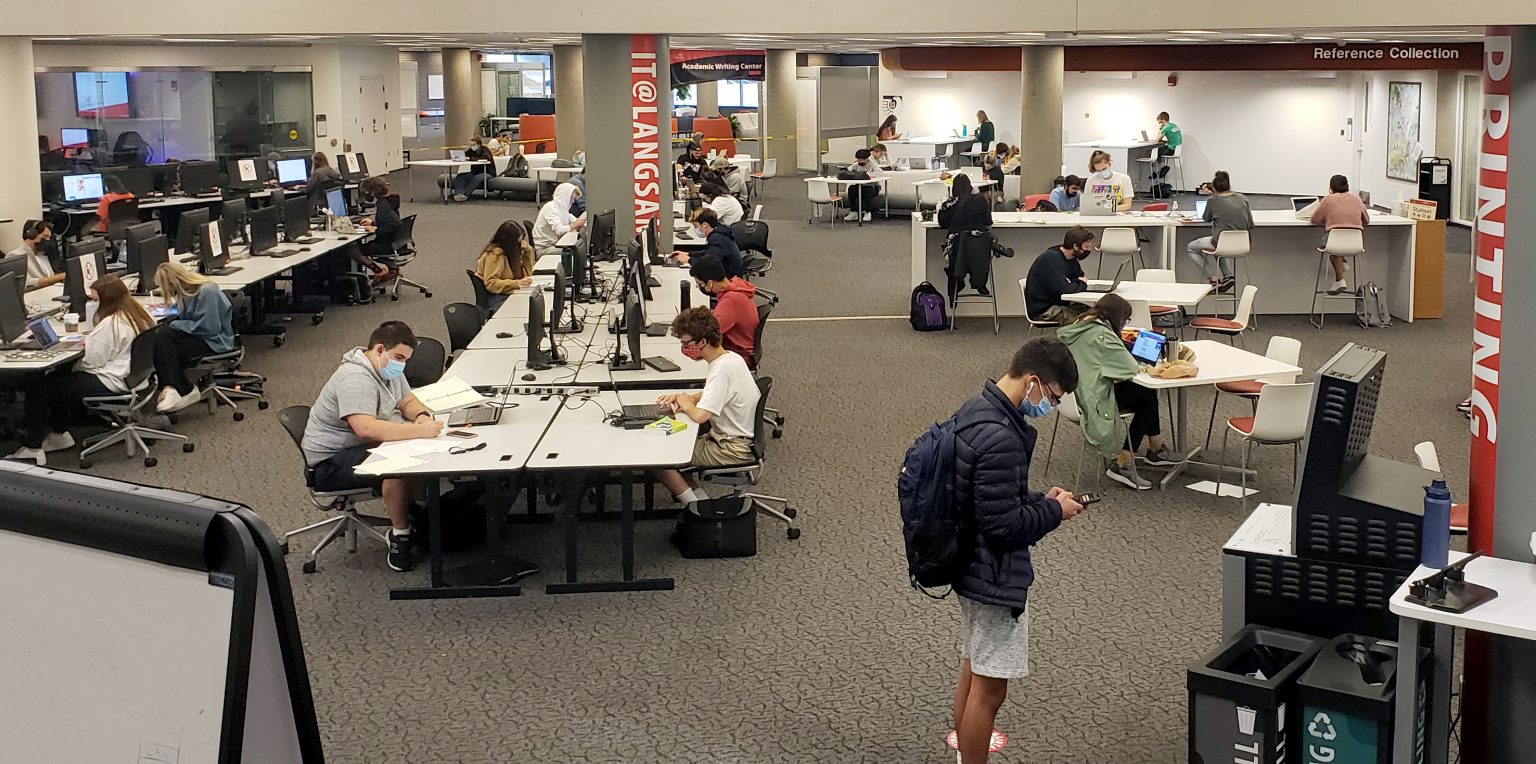 students at work in the library