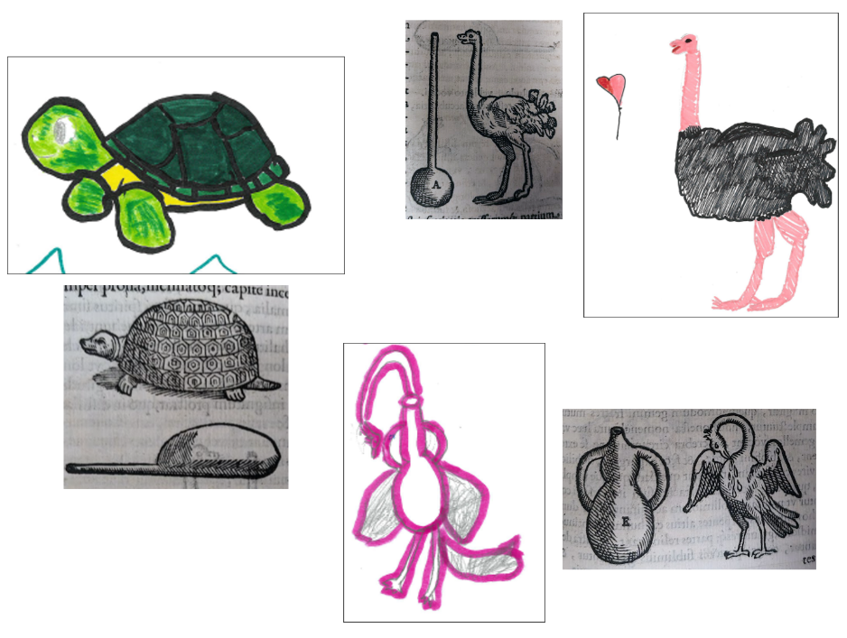 Examples of student drawings highlighting the connections between animal forms and early scientific glassware.