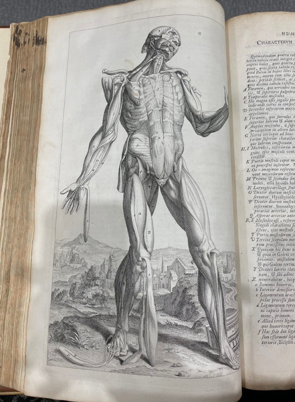PRIMARY QS 17 V575 v.1 1725, Andreas Vesalius, Opera omnia anatomica…, vol. 1, printed book with woodcuts, 1725, opening: image and text page entitled “Characterum Quintae Musculorum Tabulae, Index.” Health Sciences Library.