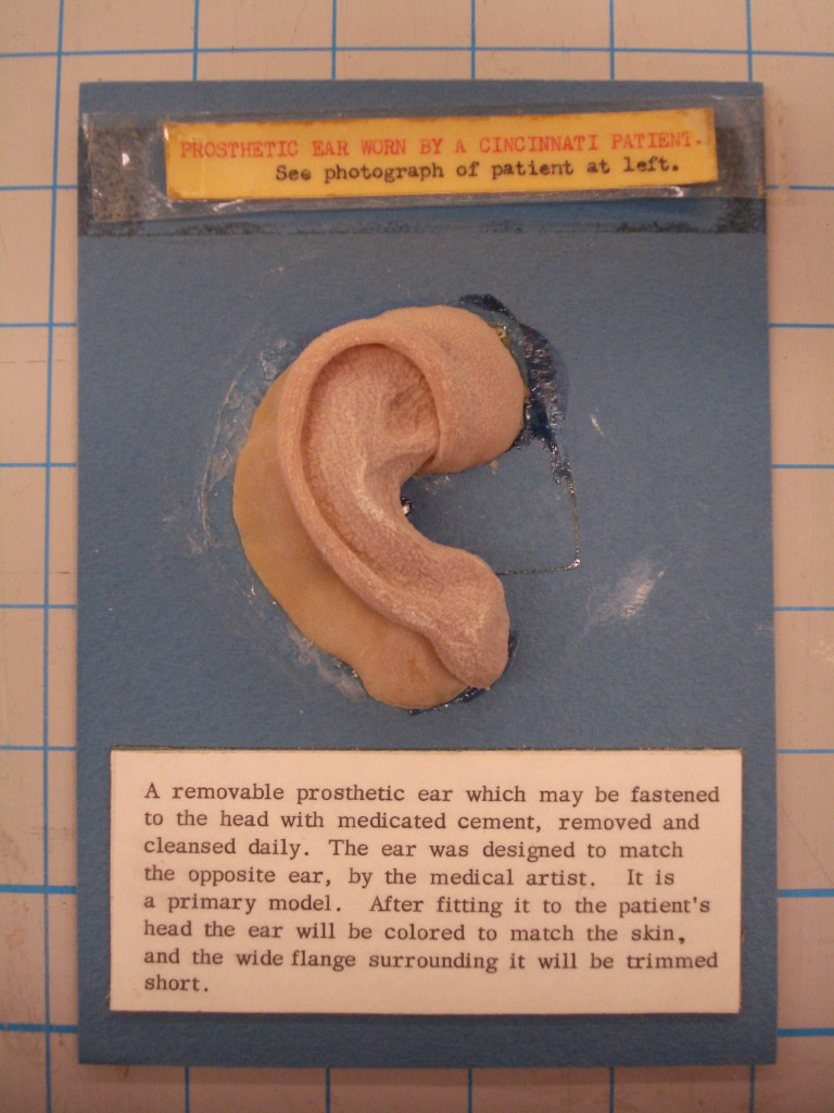 Note the level to which the ear has shrunk over time as well as the pronounced surface texture.  There was also a whitish residue visible on the surface where it came in contact with its cellophane wrapper.