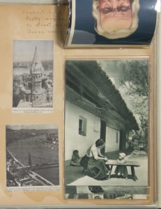 i83079427_1015_D19N_2