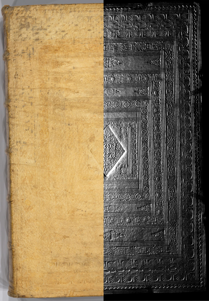 This is a composite of two RTI generated images, default mode on the left and specular enhancement mode on the right.