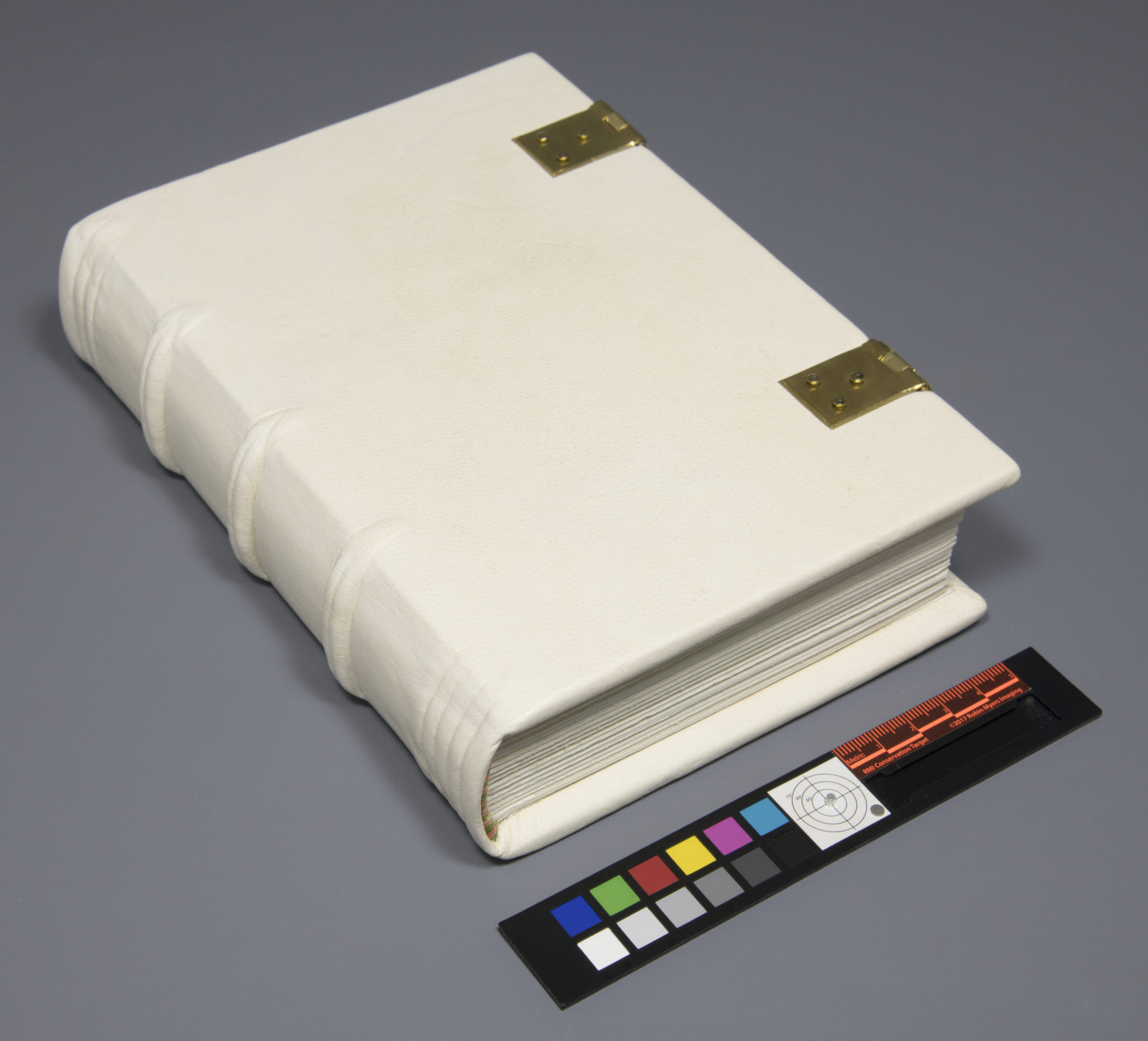 Overall image of the model