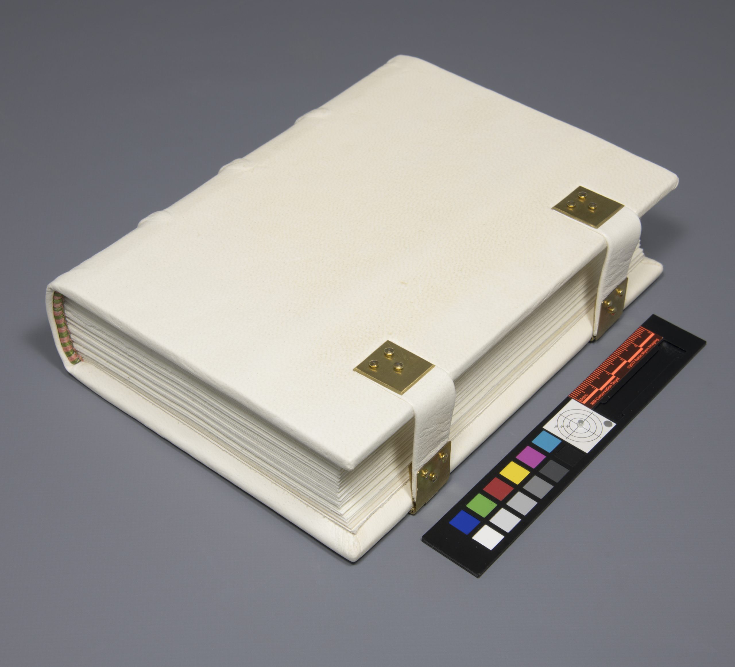 Overall image of the model