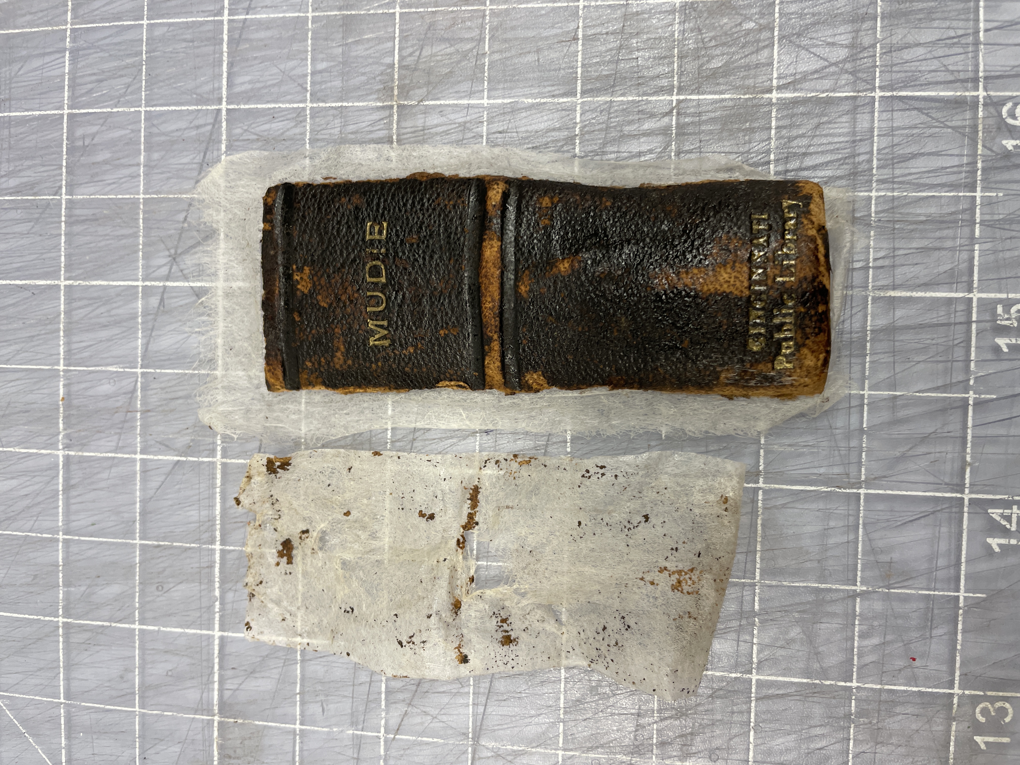 portion of leather spine with facing removed