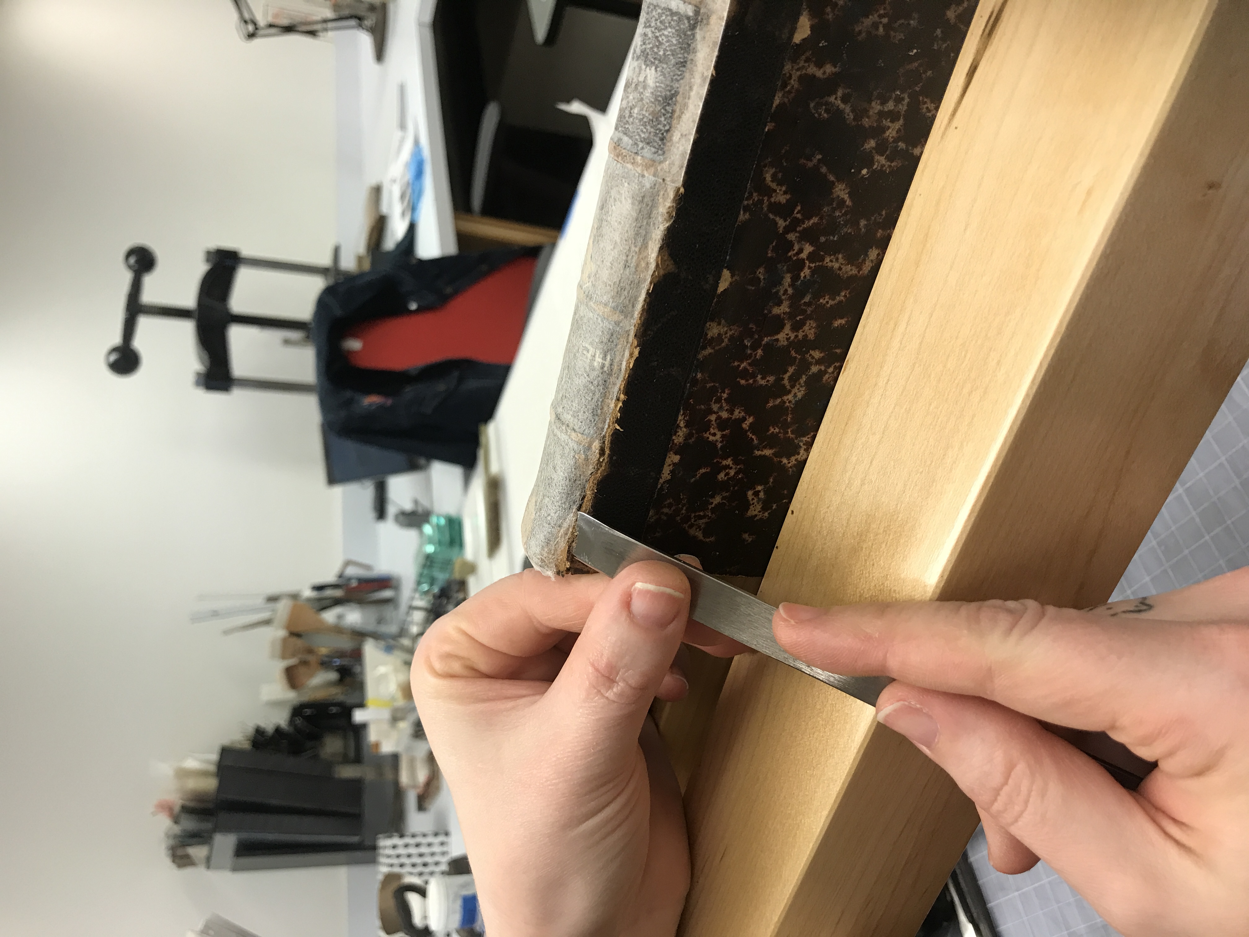 Spine being lifted with a knife