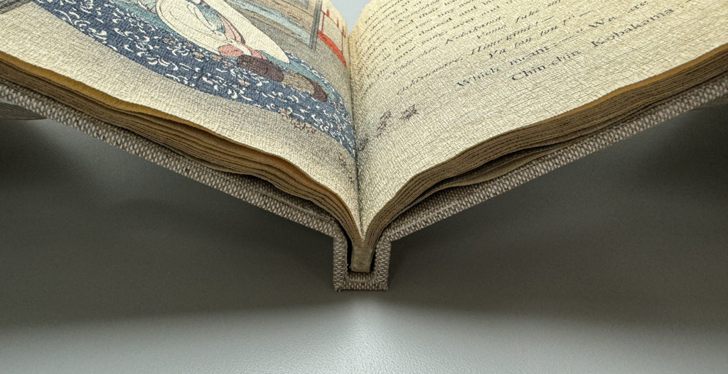 Collapsible cradle opened, detailed image showing the spine support piece of the cradle, with volume inside