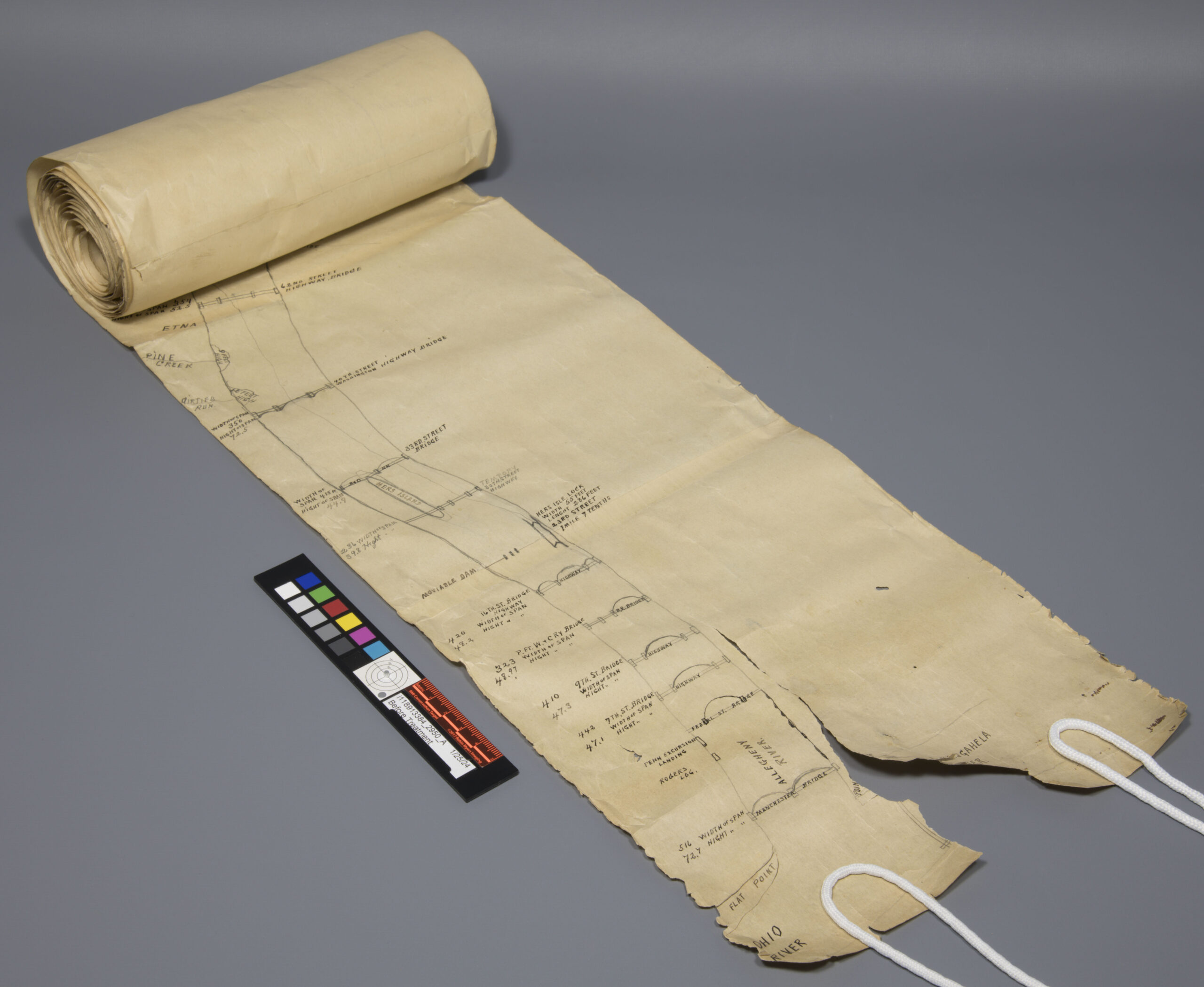 scroll partially unrolled