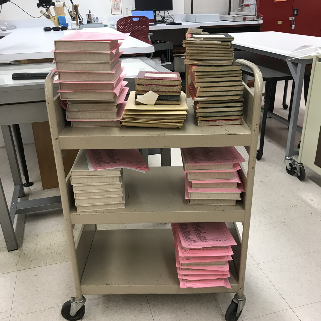 A library book truck filled with various small notebooks and conservation boxes.