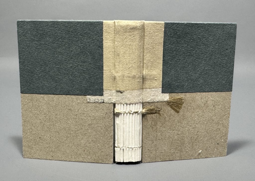 Smaller boarded binding cutaway model with tan paper along the top half of the spine and a dark blue paper covering the boards along the top half.